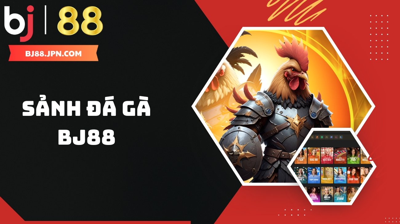 Đá gà BJ88 - Trực tiếp đá gà Thomo C1, C2, C3 có BLV 1 Sảnh đá gà BJ88 là một sản phẩm hàng đầu mà khách hàng tìm đến Bj88 để trải nghiệm
